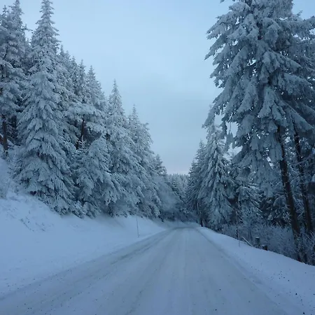 Bel T2 En Centre Avec Balcon, Wifi, Pour 4 Pers. - Fr-1-608-57 * Le Mont-Dore