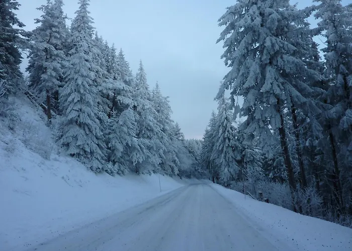 Bel T2 En Centre Avec Balcon, Wifi, Pour 4 Pers. - Fr-1-608-57 * Le Mont-Dore